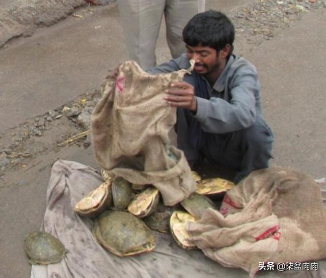 印度a八壮阳药，《我不是药神》中印度的神药为什么那么厉害，印度制药很厉害吗