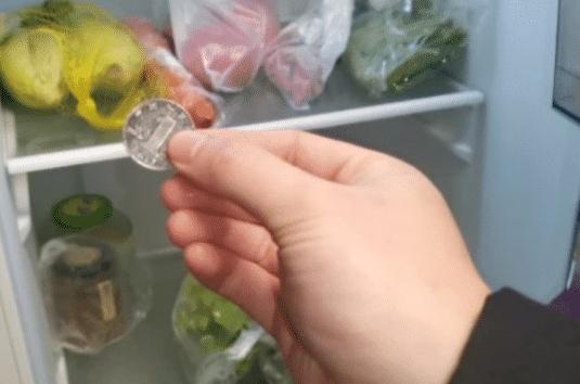 出远门时，为什么要给冰箱里放一枚硬币？插图39