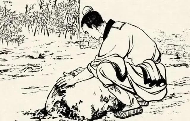 大家听过或经历过最感人的动物报恩的故事是什么？插图36