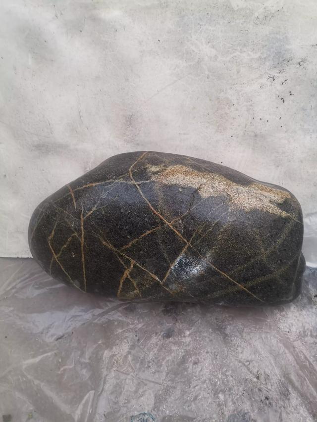 虎穴狼巢,虎虎生威,虎虎生风,虎牙少年,虎皮豆腐,虎假虎威,虎斑猫抓