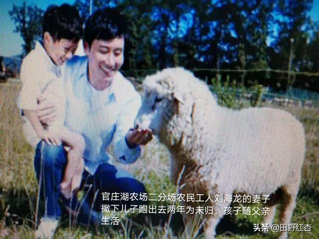 乡村留守妇女与狗:农村的留守妇女是怎么解决心理需要的？
