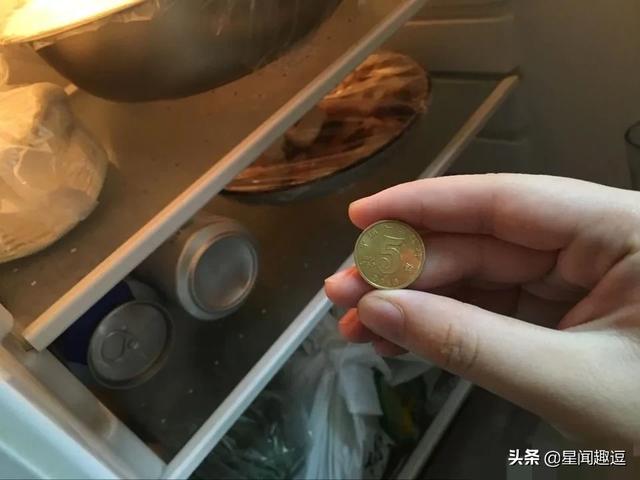 出远门时，为什么要给冰箱里放一枚硬币？插图20