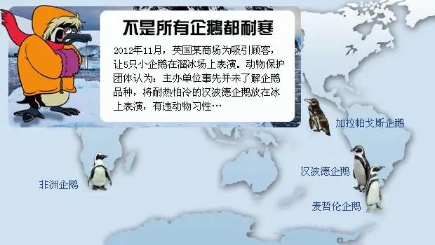 非洲企鹅是鸟类吗:请问：为什么北极熊不吃企鹅宝宝呢？