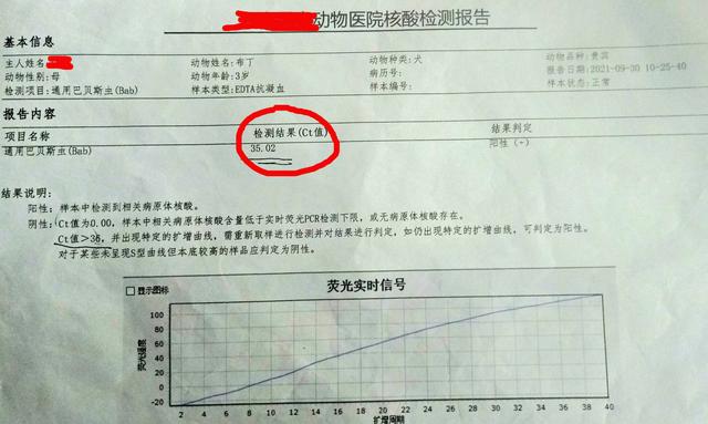 狗的寄生虫病的症状:请问狗狗得了巴贝斯虫症，服用阿托伐醌安全有效吗？