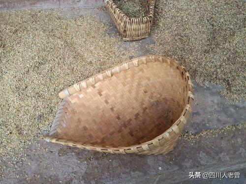 兔八哥四川方言版高清合集:四川话里有哪些写不出的字？