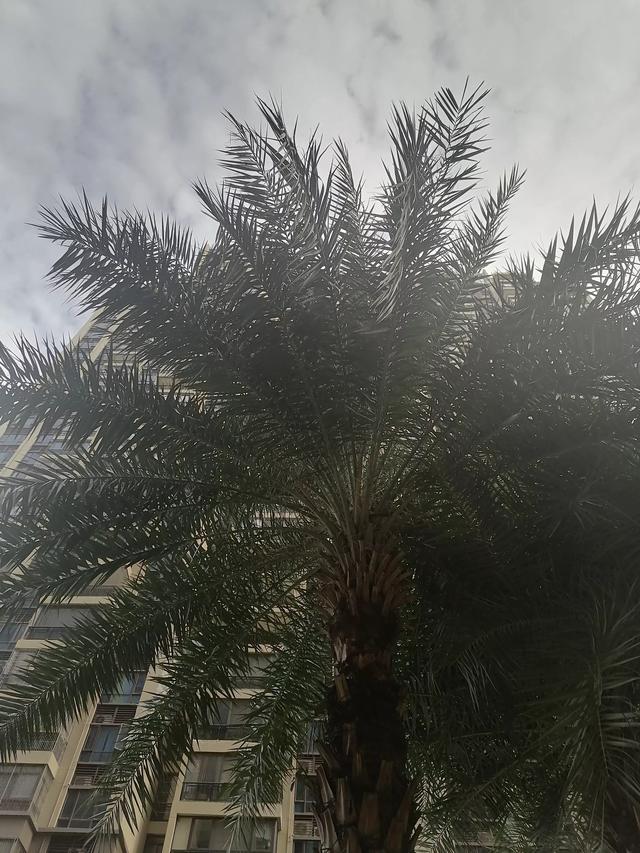偷狗贼的下场:打残或失手打死偷狗贼会被判重刑吗？对此你怎么看？
