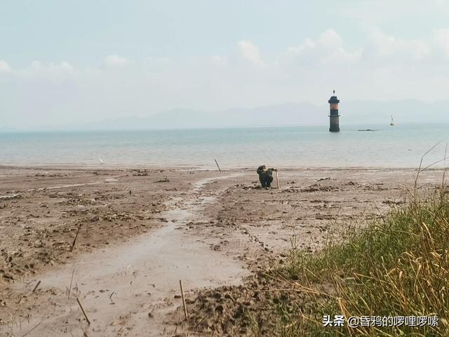 老妈说70年代海里的小海鲜有的是，人们都不稀得吃，是真的吗？插图7