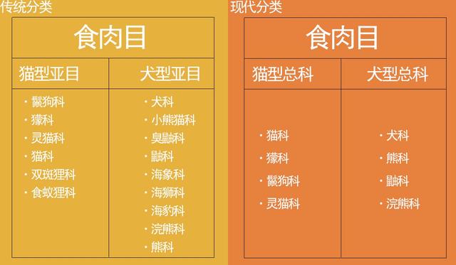 澳洲野犬岛:非洲鬣狗和非洲野狗哪一个更加厉害一点？