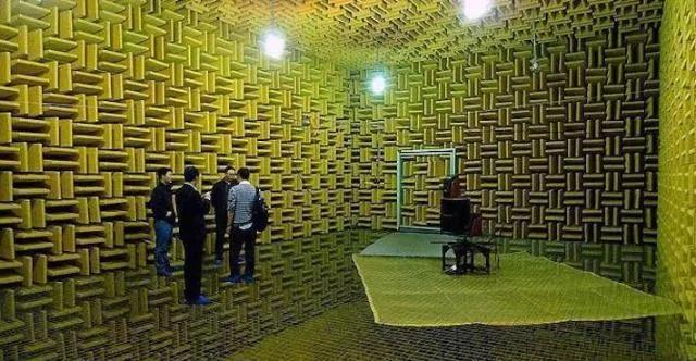 为什么有人说很少有人能在绝对静音无声的密室里撑过1小时？插图1