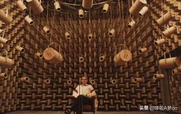 为什么有人说很少有人能在绝对静音无声的密室里撑过1小时？插图49