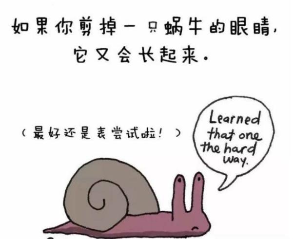 有哪些冷知识会让你知道后捧腹大笑？
