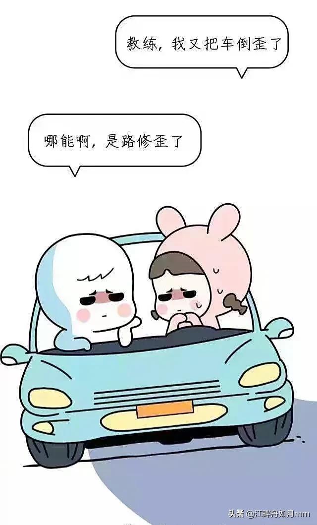 监考猫:学驾照，你给教练送礼了吗？
