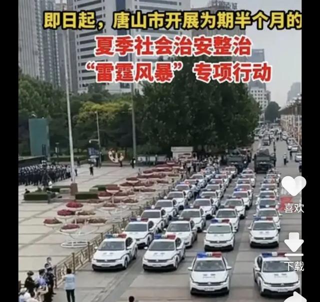 带宠物鸭扫大街萌坏路人:唐山打人事件，黑衣女子被网暴，冤不冤？