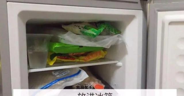 出远门时，为什么要给冰箱里放一枚硬币？插图16