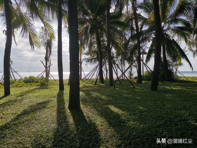 男女同事出差为省钱只开一间房,这样做违法么？