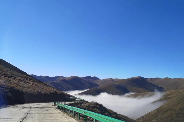 昆明垂耳兔价格:如果疫情清零，你是否愿意花1个月工资出去旅游放松自己呢？