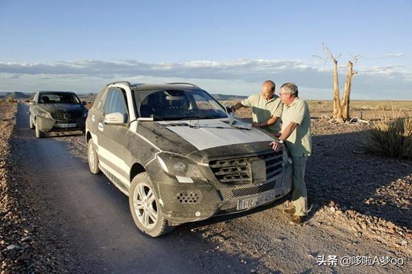 高速上动物灵异事件:你如何看待司机为避让闯入高速公路的动物而车毁人亡？