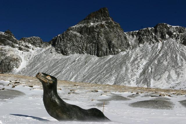 猎塔湖水怪图片:牂牁江水怪是什么大型水生物？
