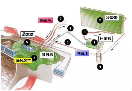 知名连锁熟食店老鼠乱窜？，超市里面熟食如果卖不出去，会怎么处理