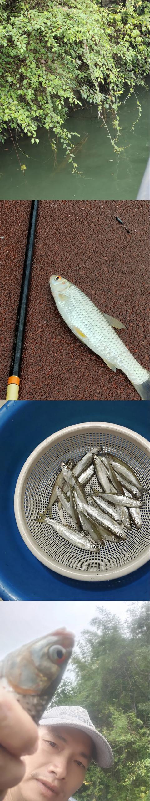 水域,怎样在自然水域挑选钓点？