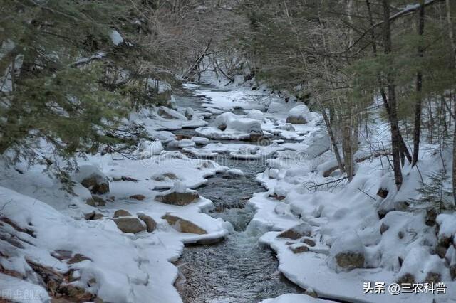 今年雨带是否异常，大寒迎大雨、大雪，专家说夏季雨带或偏南走，南方会降雨猛增吗