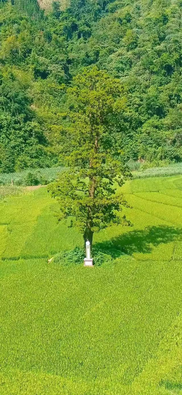 成熟优雅的微信名字:<a href=https://maguai.com/list/61-0-0.html target=_blank class=infotextkey><a href=https://maguai.com/list/61-0-0.html target=_blank class=infotextkey>职场</a></a>中不成熟的表现有哪些