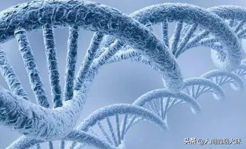 女子和狗交配:女子第一次自愿与男生发生性关系，第二次不同意，是否构成强奸罪