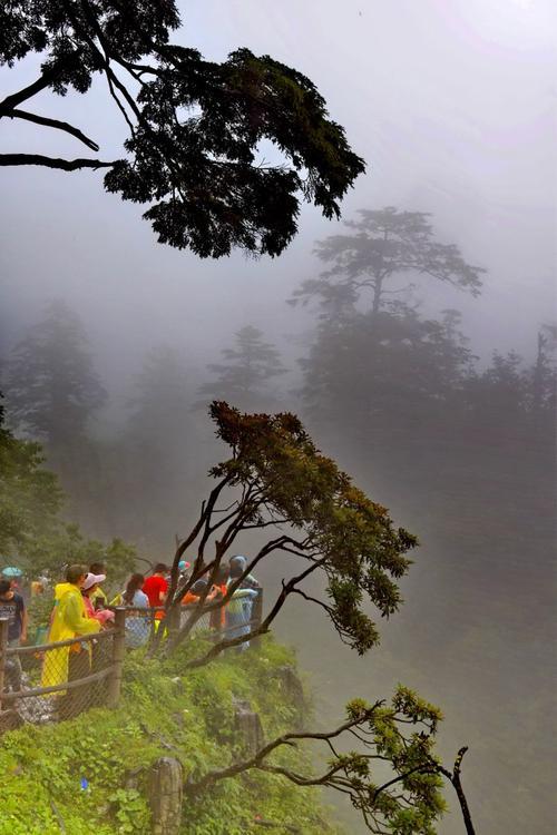 漯河到青岛<a href=https://maguai.com/list/52-0-0.html target=_blank class=infotextkey>旅游</a>团:退休老人出门<a href=https://maguai.com/list/52-0-0.html target=_blank class=infotextkey>旅游</a>的越来越多，退休金不够花还出门<a href=https://maguai.com/list/52-0-0.html target=_blank class=infotextkey>旅游</a>，为何？