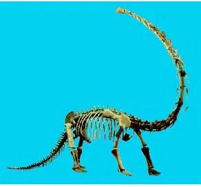 中国发现的活恐龙，四川广元旺苍县发现马门溪龙集中埋藏地，这对我国意味着什么呢