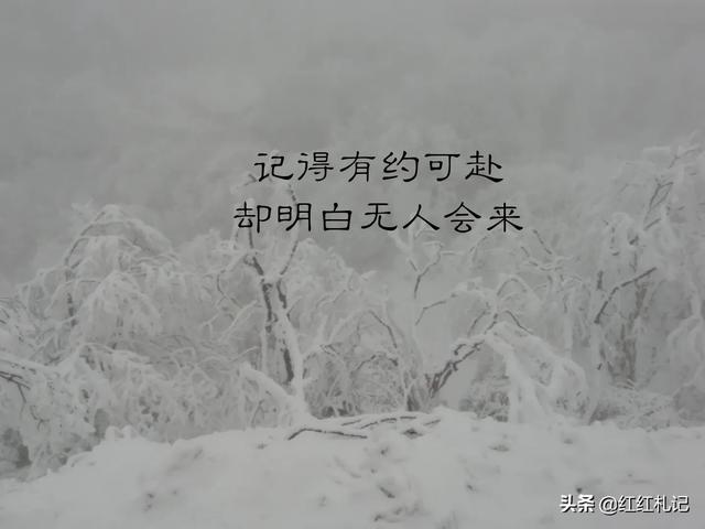 有什么句子让你莫名心酸伤感，句句扎心，红了眼眶