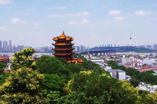 姓名可以惊艳到什么程度？插图39