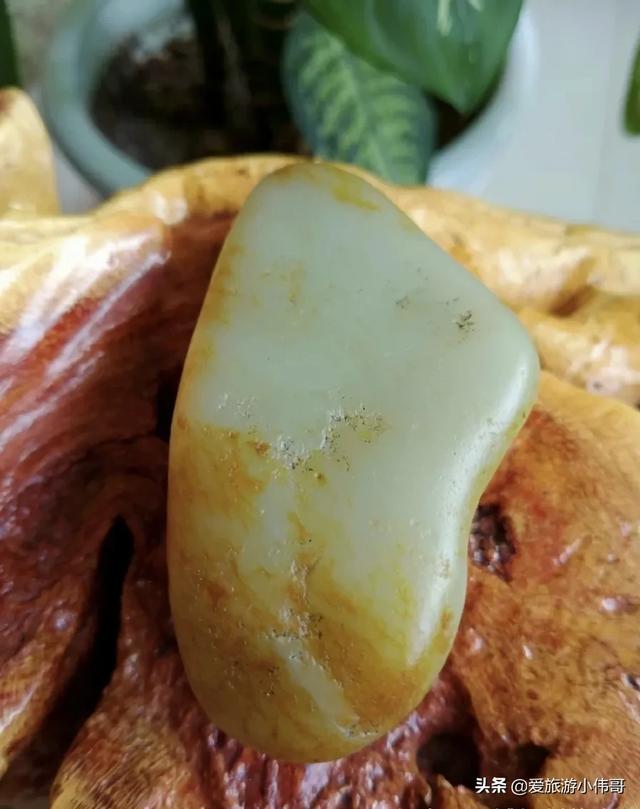 新疆的候鸟有哪些:新疆棉花质量好 新疆都有什么地方可以捡石头？现在还来得及吗？