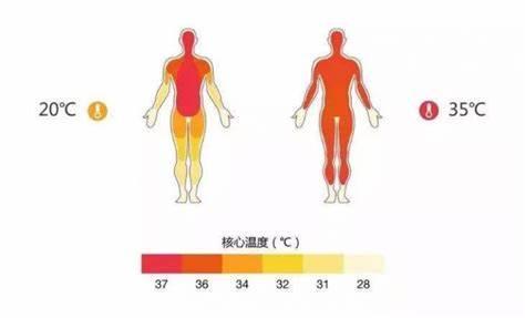 狗狗心丝虫血检:狗狗撒尿的血是淡红色怎么办呢？