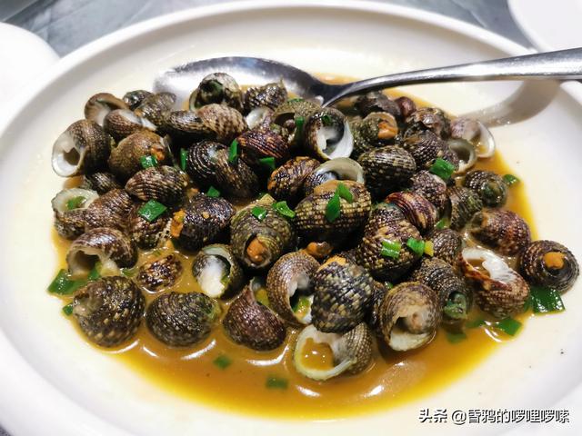 老妈说70年代海里的小海鲜有的是，人们都不稀得吃，是真的吗？插图13