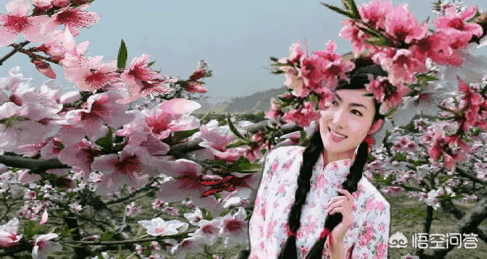 有关三月桃花的诗词有哪些？