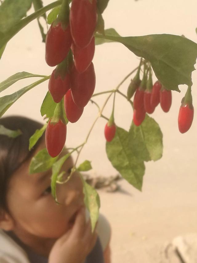 陈亚男道歉了,她只是一个当网红,努力挣钱的女孩子她有错吗？