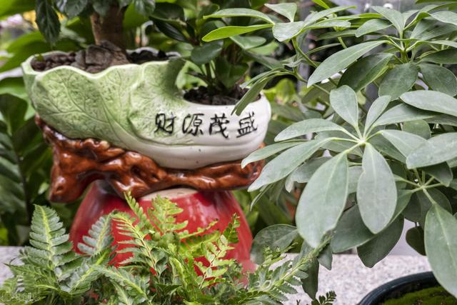 有人说“大多穷人,是注定翻不了身的”你怎么看？