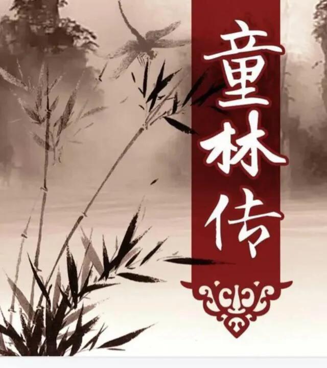 童林传中有几位武圣人排名如何？