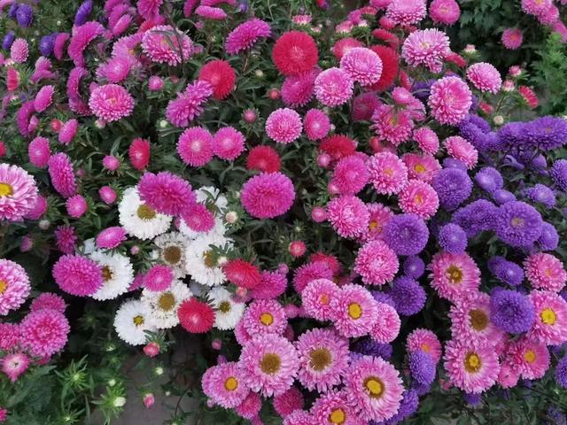 如果要长期持有一只股票，是消费类好，还是医药类好？插图2