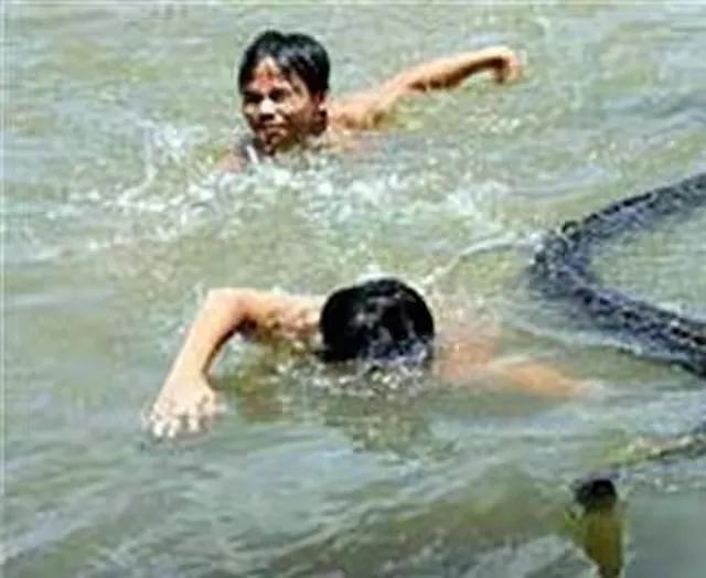 大家听过或经历过最感人的动物报恩的故事是什么？插图55