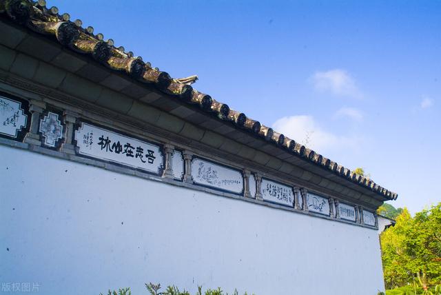印度小竹节草漂着养:铃木汽车怎么样？故障有哪些，安全性如何？跑高速漂不漂？