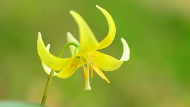 生肖买房子,十二生肖对于买房自己的看法是什么？