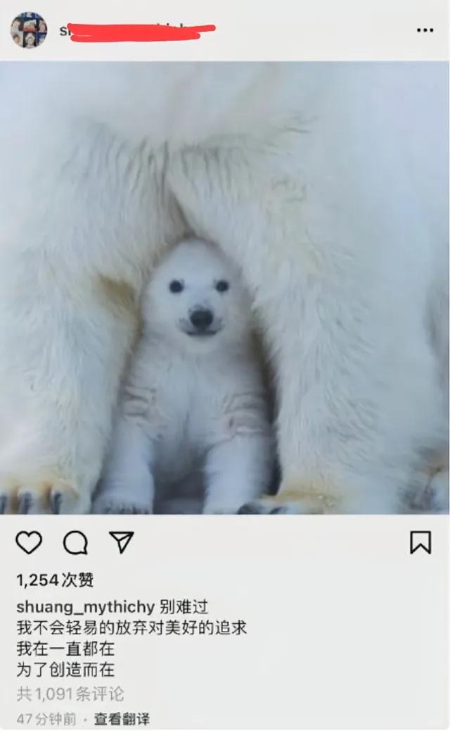 郑爽公开秀恩爱:郑爽及其社交账号被封，是个人道德沦丧还是遇渣男是悲剧的开始？