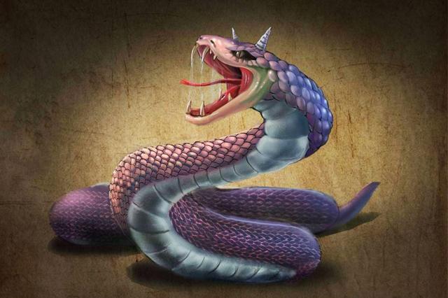 绿水蚺眼镜蛇:眼镜蛇为什么不是百蛇之王？它的毒性不是很强吗？