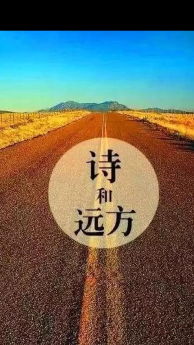 眼前的苟且诗和远方你是哪种类型