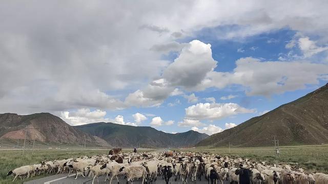 去新疆旅游为什么有的人不建议开车去插图10