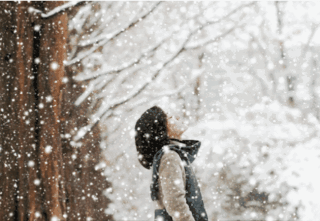形容东北雪特别漂亮,写一篇短文或者长文,看谁描写的生动形象？
