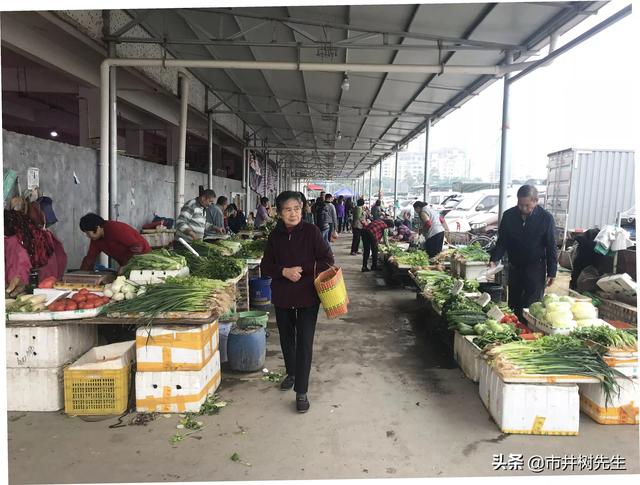 苗苗身高:你见过把话说满的人的后果吗？
