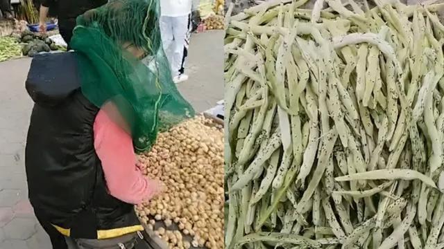 像黑云一样！内蒙古满洲里漫天飞虫来袭，到底是什么有危害吗