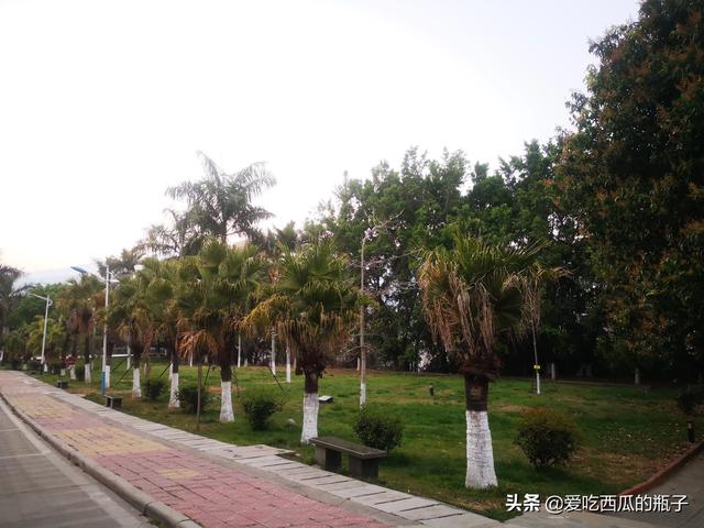 如何看待一些大学官网做的不堪入目？